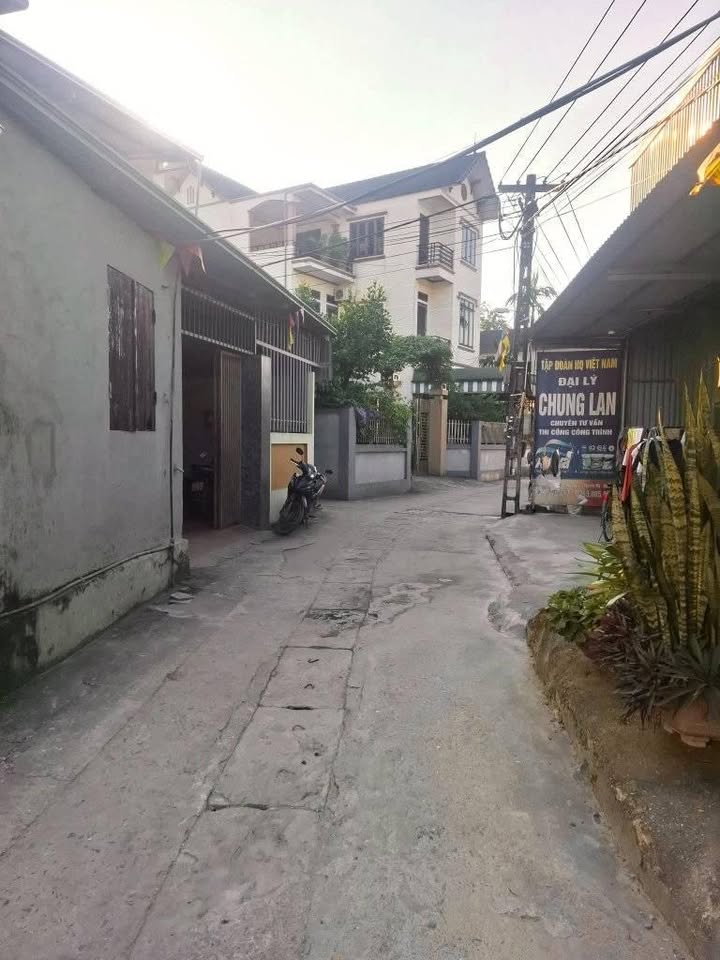 Đất nền Tự Nhiên Thường Tín 41.2m² giá 1.88 tỷ - Lô góc siêu đẹp, ô tô đỗ cửa!