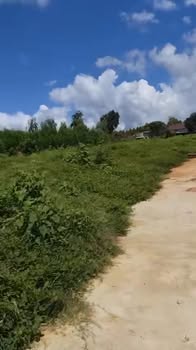 Đất nền Cát Tân, Phù Cát 165.5m² giá chỉ 200 triệu - Đường ô tô, view thoáng mát!