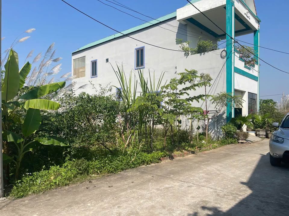 Đất thổ cư Phùng Nguyên 138m² giá thỏa thuận - Đầu tư sinh lời ngay!