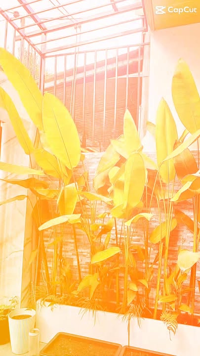 Nhà 2 tầng đường Trần Đình Nam, phường Hòa An, Đà Nẵng 69.3m² giá 4.25 tỷ - Sổ hồng chính chủ, để lại nội thất!