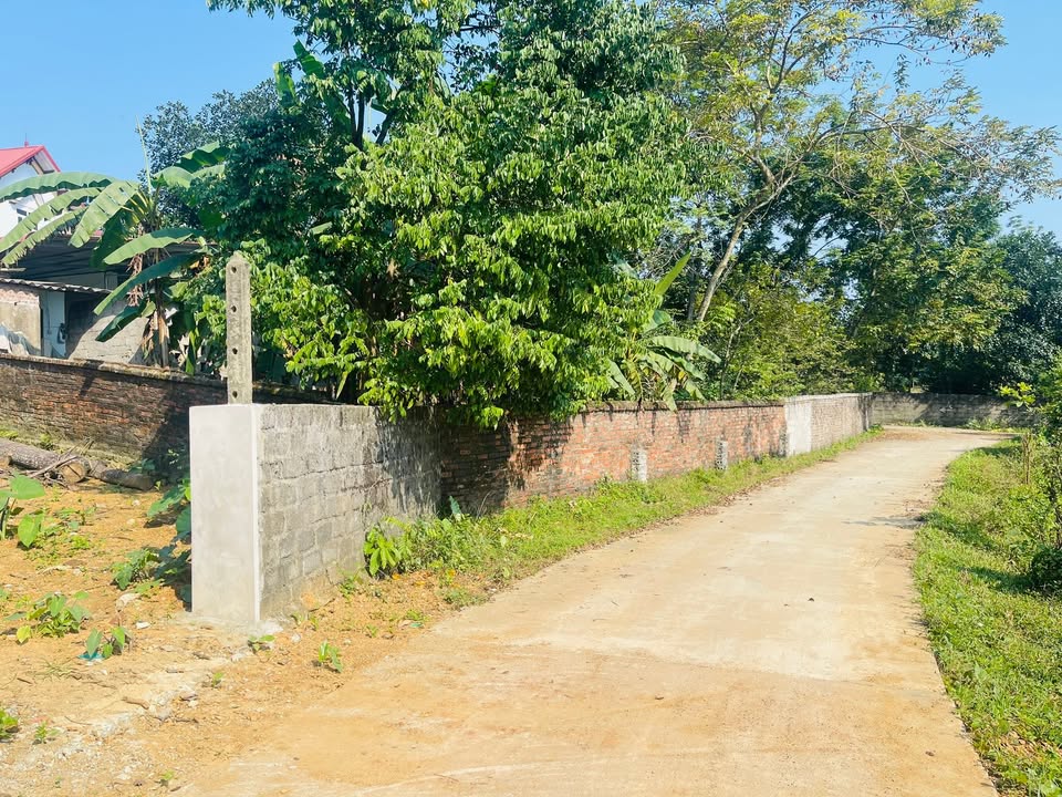 Đất thổ cư Cư Yên, Lương Sơn 309m² giá thỏa thuận - Đầu tư sinh lời!