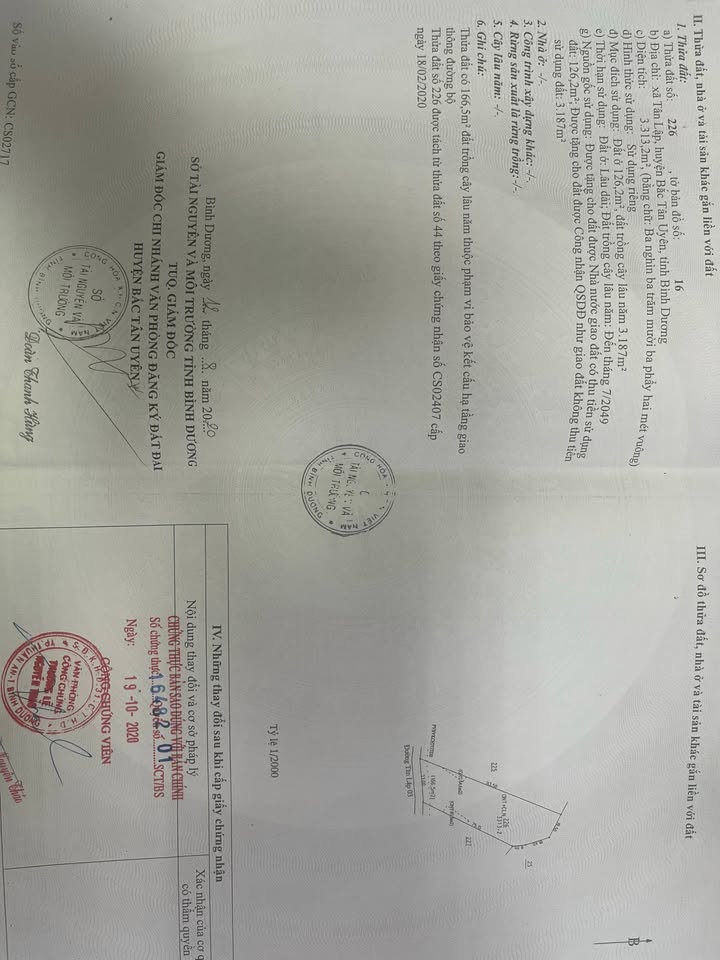 Đất nền Tân Lập, Tân Uyên 3313m² – Cơ hội đầu tư hấp dẫn!