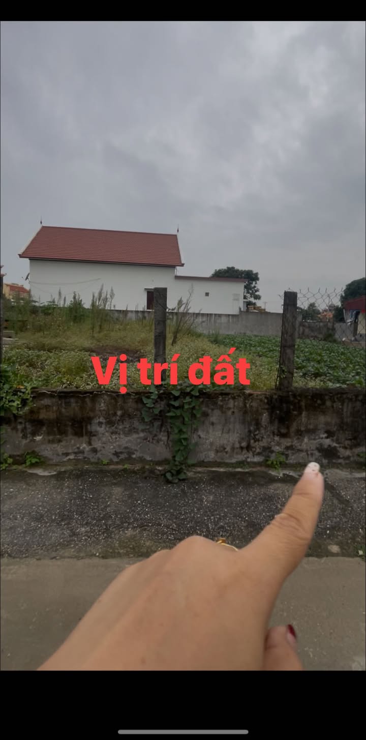 Đất thổ cư 100m² xóm Lâm Đình, Giao Phong, Giao Thủy - Chờ chủ mới xây biệt thự!