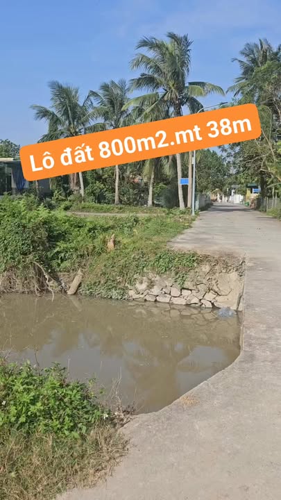 Đất nền Quảng Trạch 800m² giá thỏa thuận - Không gian thoáng mát lý tưởng!