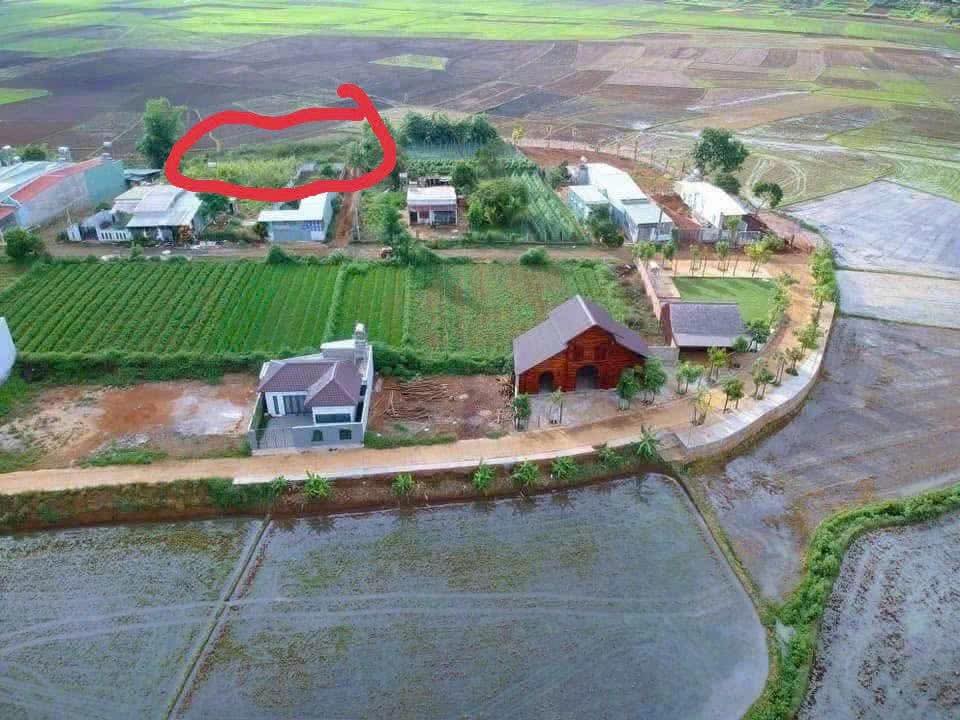 Đất nền 1200m² thổ cư tại Pleiku giá 3 tỷ - View cánh đồng tuyệt đẹp!