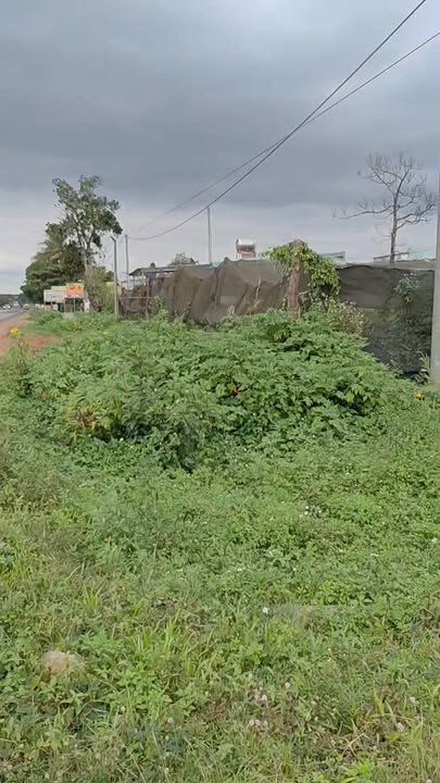 Đất thổ cư 200m² tại xã Ia Tor, huyện Chu Prong, giá 4.2 tỷ - Tiềm năng phát triển cao!