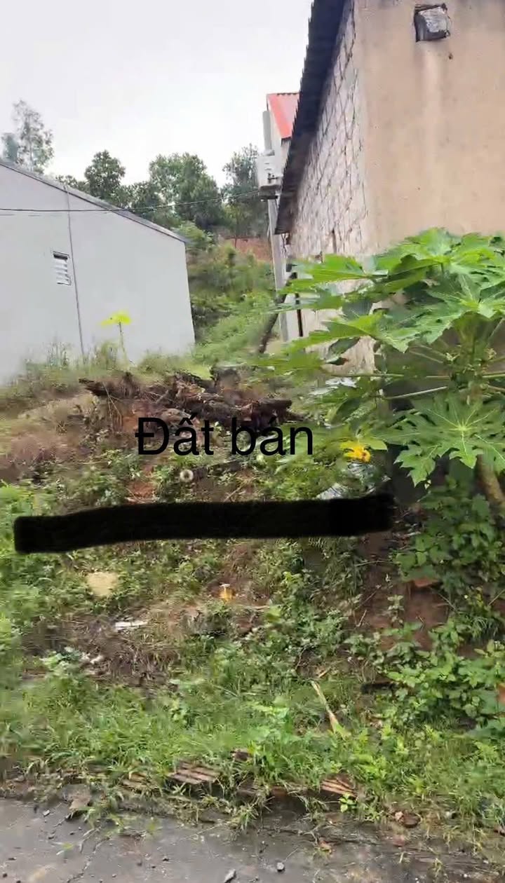 Đất nền Tiên Phong, Nội Hoàng, Yên Dũng 100m² chỉ 1 tỷ - Cơ hội đầu tư tuyệt vời!