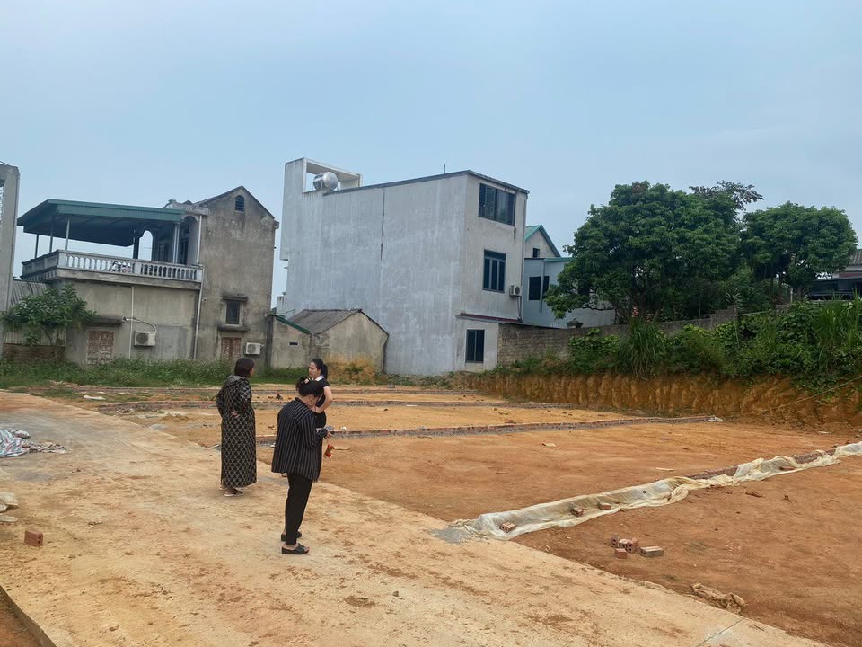 Đất thổ cư 150m² tại Phong Châu, Phù Ninh - Đầu tư sinh lời hấp dẫn!