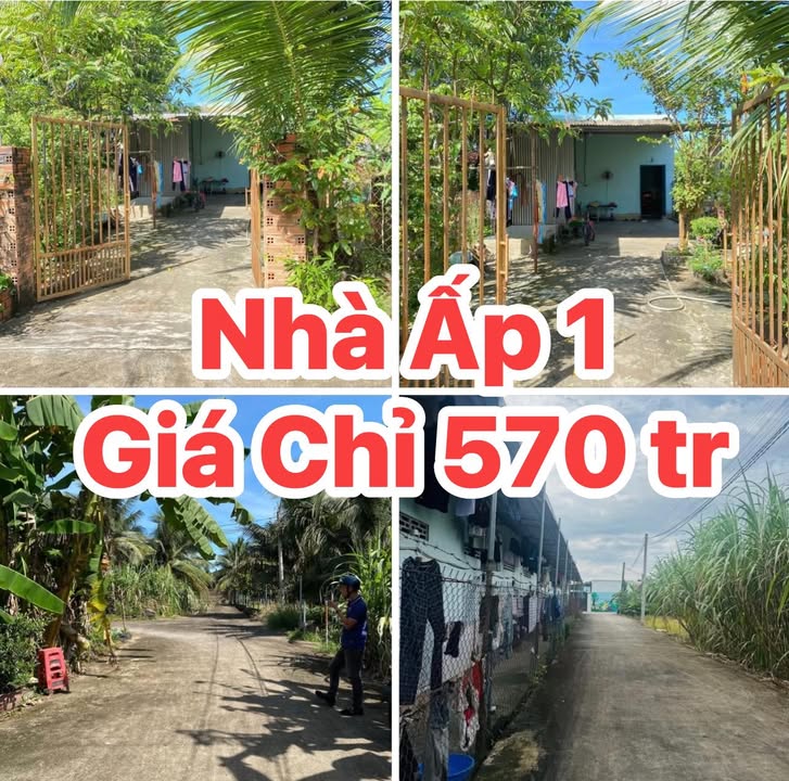 Nhà 6x26m ấp 1 Sông Trầu, Trảng Bom giá 570 triệu - Sẵn sàng ở ngay!