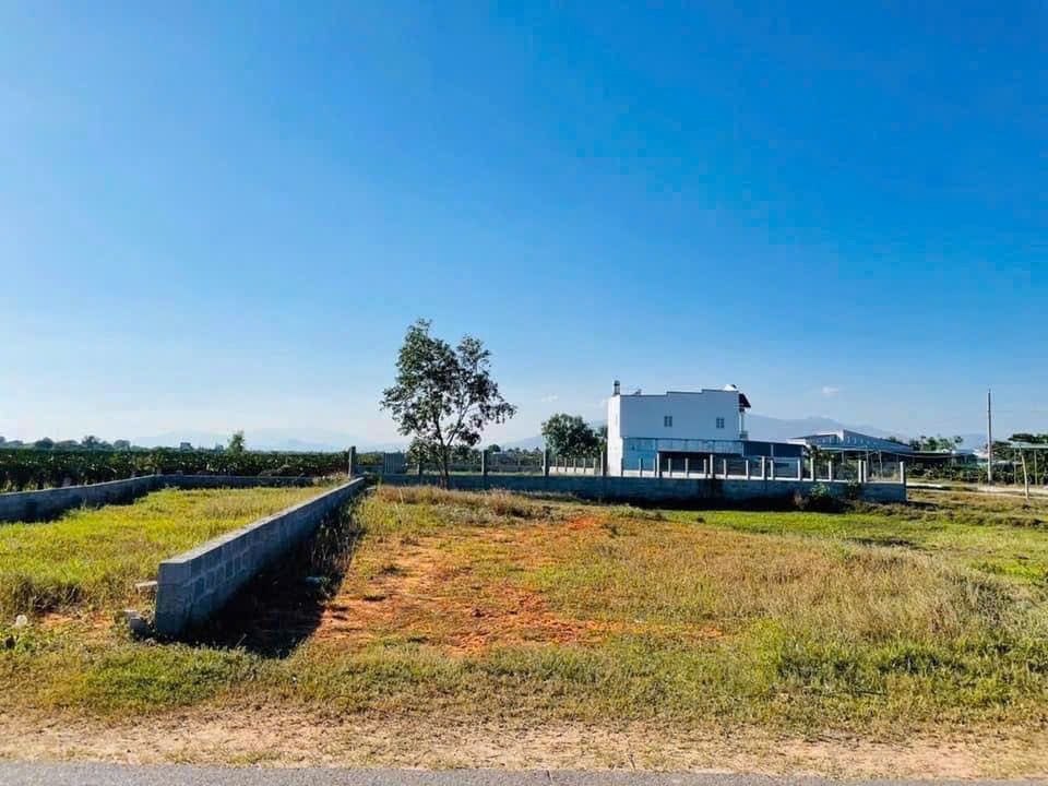 Đất thổ cư Hàm Liêm 150m² giá 850 triệu - Cơ hội đầu tư tuyệt vời!