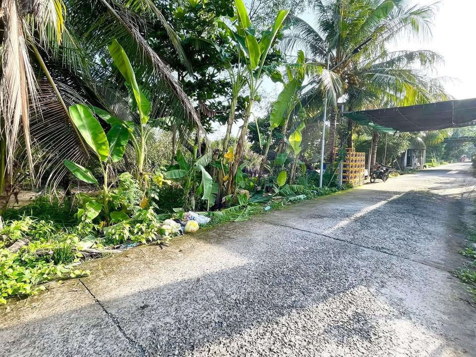 Đất nền Nhơn Ái Phong Điền 162m² giá chỉ 599 triệu - Cơ hội đầu tư hấp dẫn!