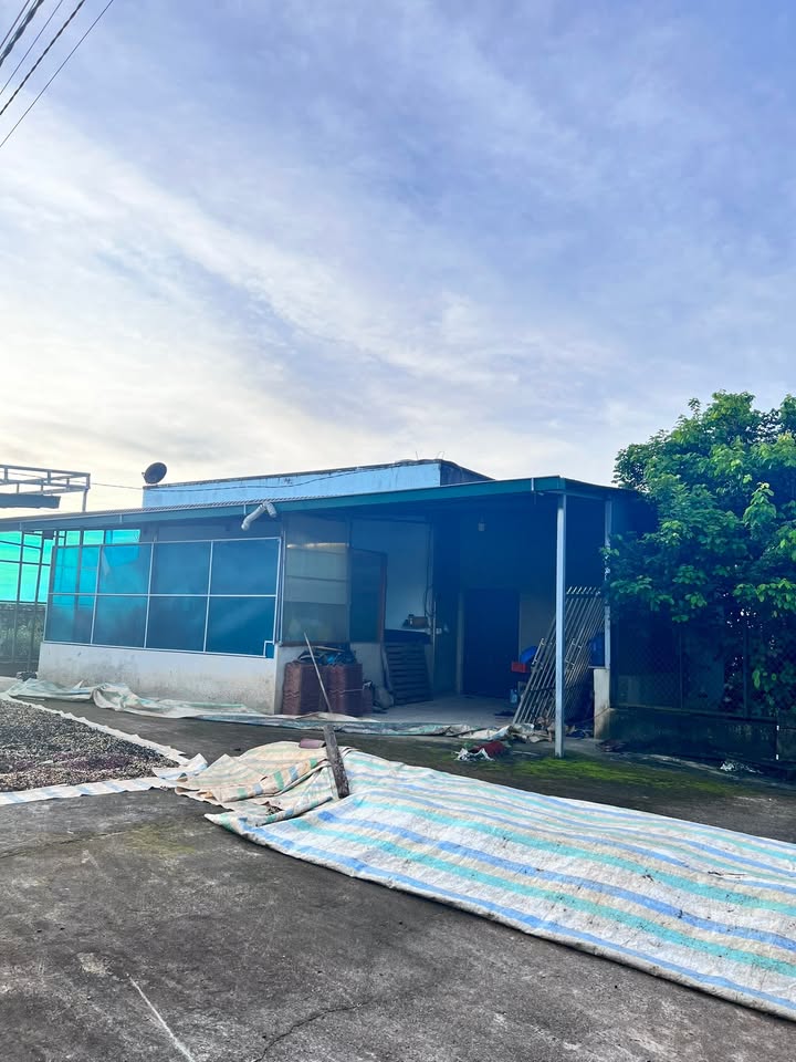 Đất mặt tiền đường nhựa Hòa Ninh 3800m² giá 7.6 tỷ - Cơ hội đầu tư hấp dẫn!