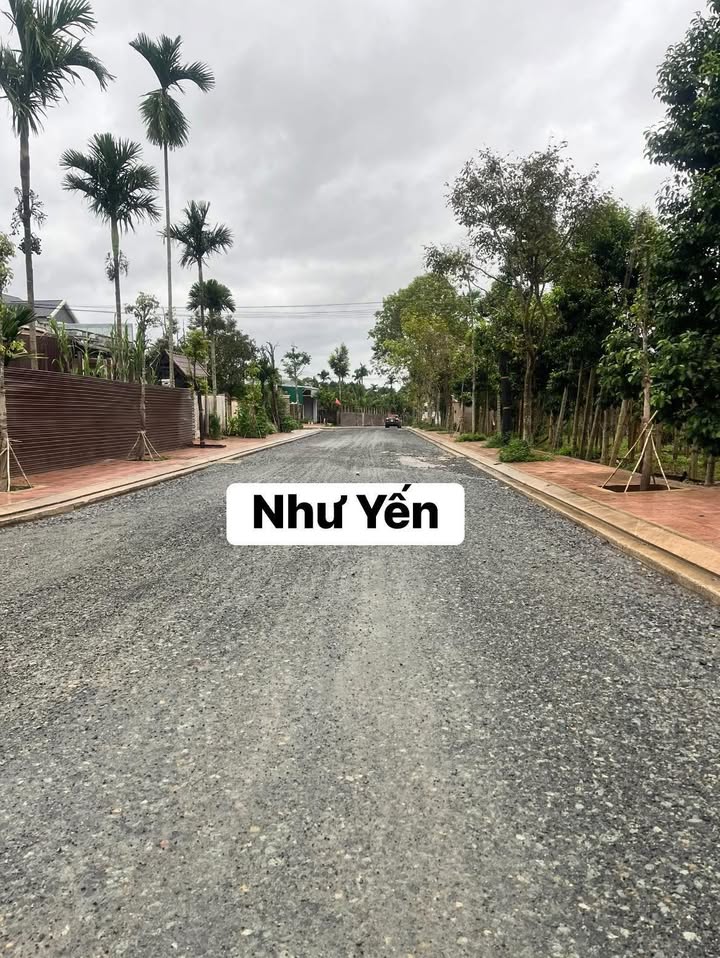 Đất nền đường Trần Phú, Krông Năng 360m² giá 2.7 tỷ - Cơ hội đầu tư tuyệt vời!