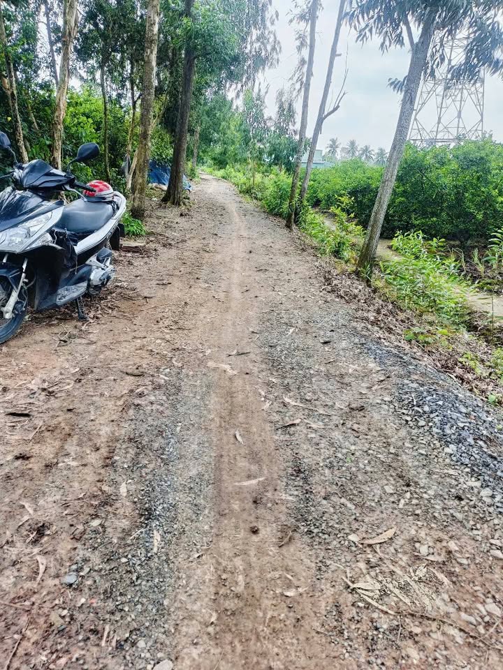 Đất vườn Bình Đức, Bến Lức 5600m² giá 7.65 tỷ - Đầu tư sinh lời ngay!