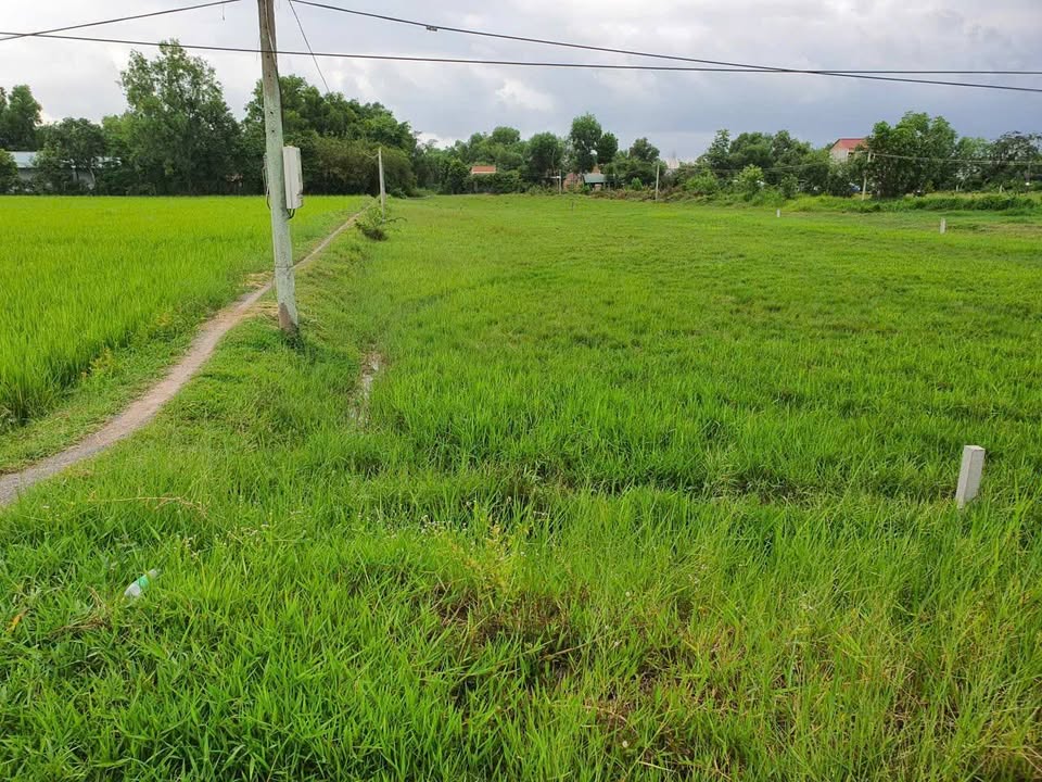 Đất nền 325m² xã An Ninh Đông, Đức Hòa - Giá chỉ 950 triệu!