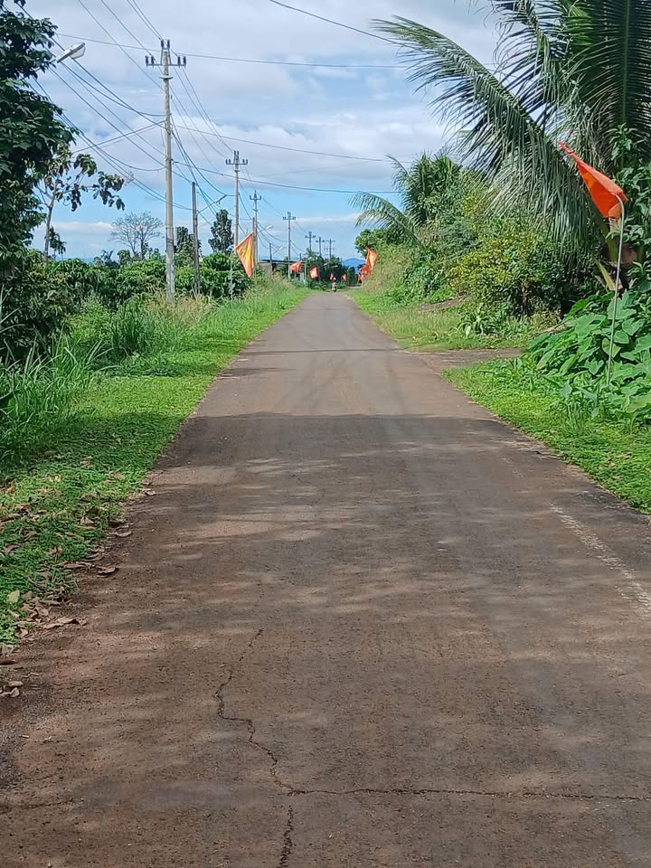 Đất nền Ea Kiết 7300m² giá 3.8 tỷ - Đầu tư sinh lời ngay khu dân cư sầm uất!