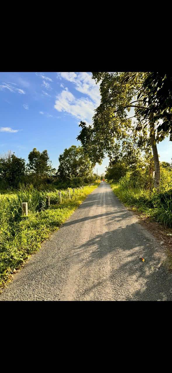 Đất Lúa 4 Công Mặt Tiền Rạch Chanh, Long Xuyên chỉ 500 triệu - Cơ hội đầu tư hấp dẫn!