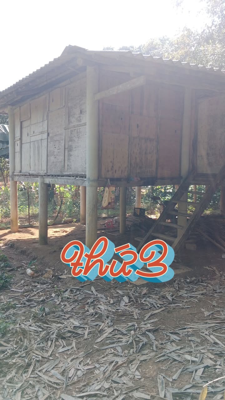 Đất Farm Mường Bi, Tân Sơn, Phú Thọ 675m² giá chỉ 300 triệu - Cơ hội đầu tư tốt!