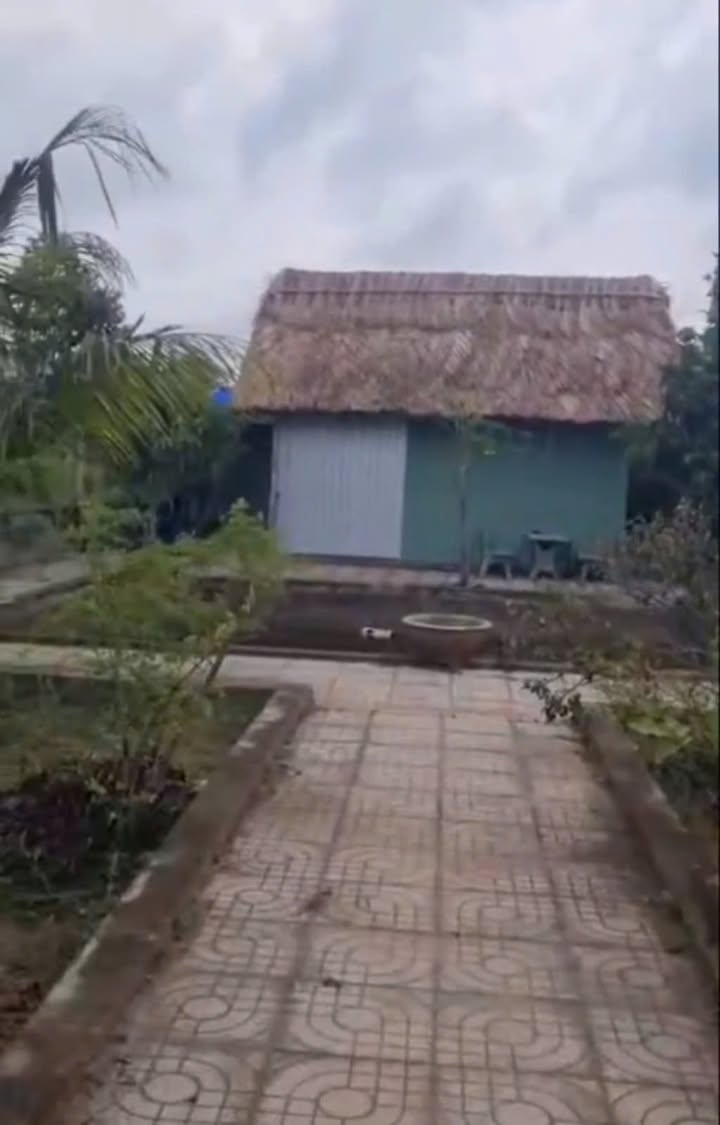 Nhà vườn 501m² tại Bình Mỹ, Củ Chi giá 2.25 tỷ - Đầu tư sinh lời ngay!