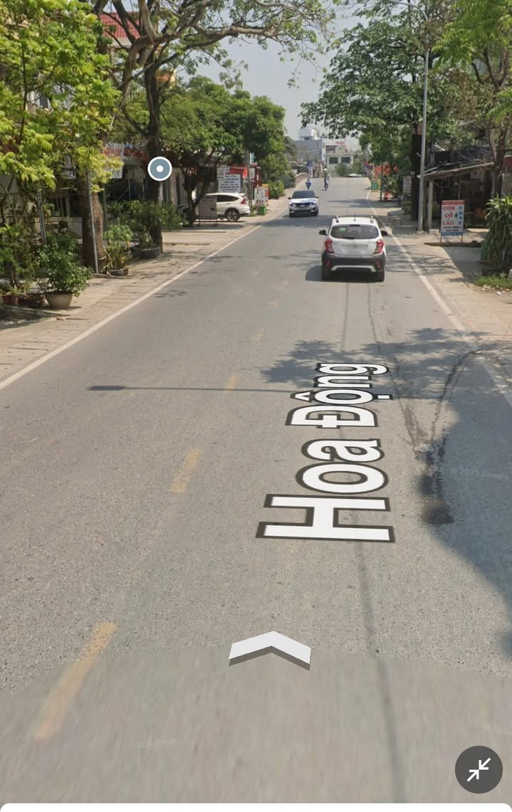 Đất nền góc mặt đường 203 Hoa Động, Thủy Nguyên 100m² - Giá đầu tư hấp dẫn!