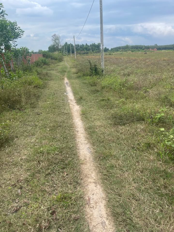 Đất nền Long Chữ Châu Thành Tây Ninh 8085m² giá 16.17 tỷ - Thương lượng nhẹ!