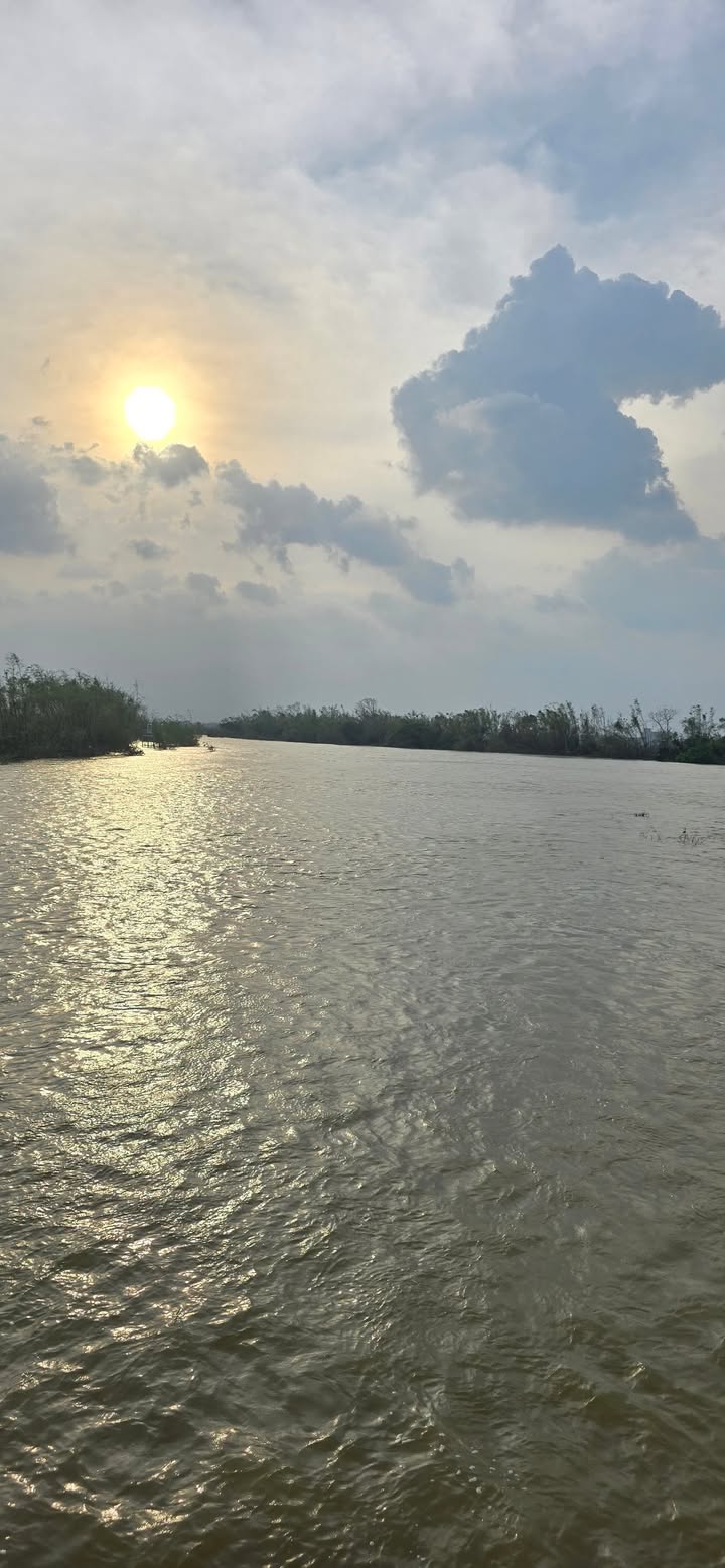 Đất Phước Hiệp Tuy Phước 521m² giá 1.7 tỷ - Ôm 3 mặt tiền, khu dân cư đông đúc!