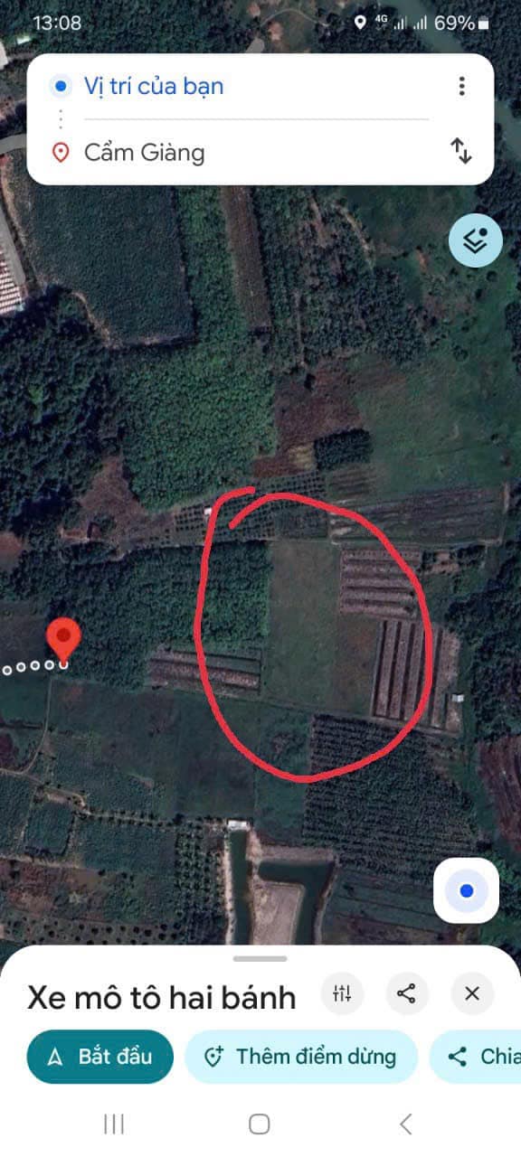 Đất nền Cẩm Giang, Gò Dầu 2440m² giá 39.04 tỷ - Cơ hội đầu tư tuyệt vời!