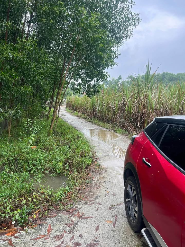 Đất nền Thủy Xuân 102m² giá 1,2 tỷ - Vị trí đẹp, ô tô vào tận nơi!