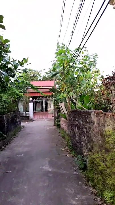 Đất thổ cư 54m² Thôn Dũng Tiến, Hưng Yên - Giá chỉ 1.53 tỷ, ô tô vào tận đất!