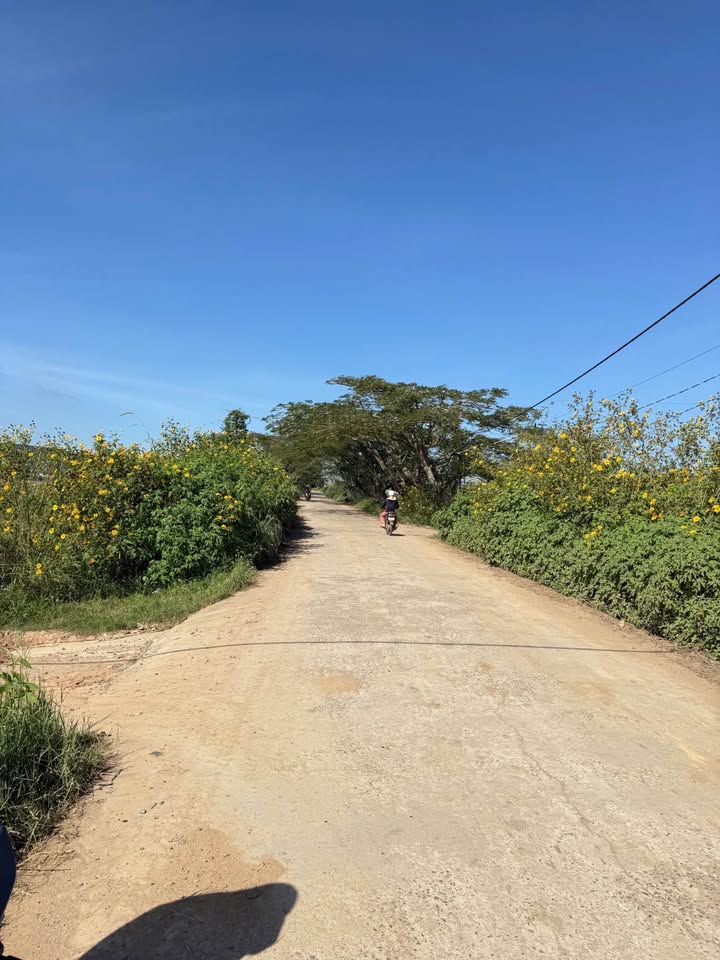 Đất nền Hàng Phượng, Quảng Lập - 72m² chỉ từ 430 triệu - Sổ đỏ chính chủ!