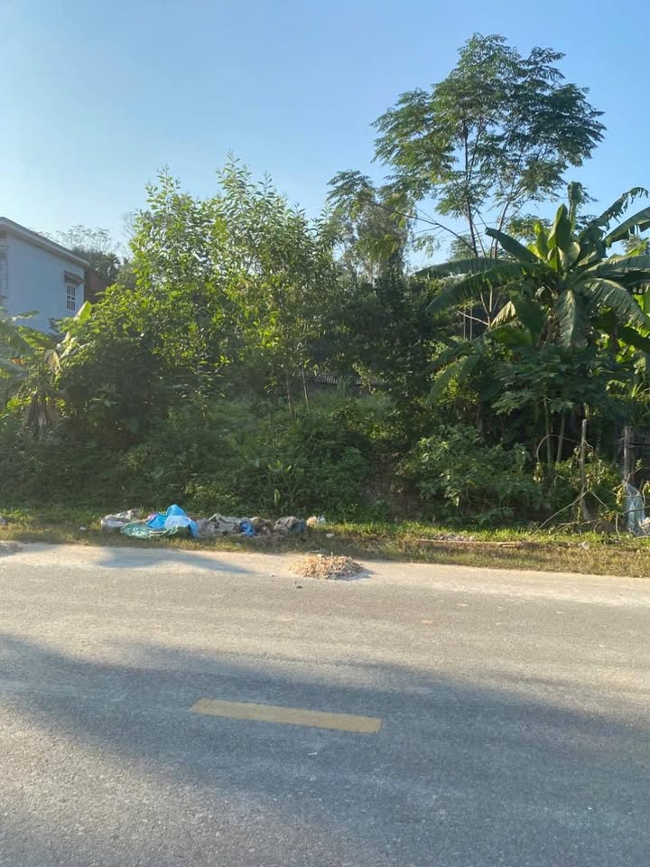 Đất thổ cư Phù Ninh 160m² giá thỏa thuận - Cơ hội đầu tư hấp dẫn!