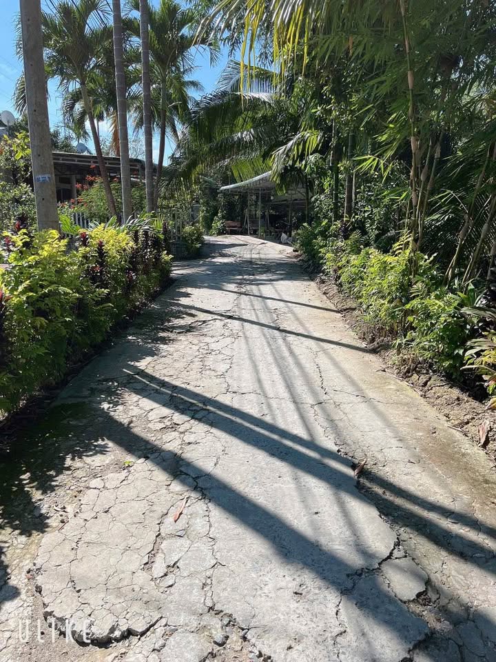 Biệt thự vườn An Bình 1086m² giá 2.5 tỷ - Cơ hội đầu tư homestay tuyệt vời!