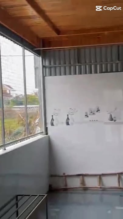 Đất thổ cư xóm 5 xã Diễn Cát 206,6m² giá thỏa thuận - Đầu tư sinh lời ngay!