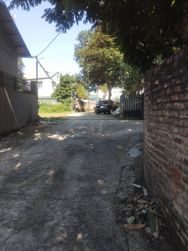 Đất nền Minh Phương Việt Trì 60m² giá 1.55 tỷ - Tiện ích đầy đủ gần chợ!