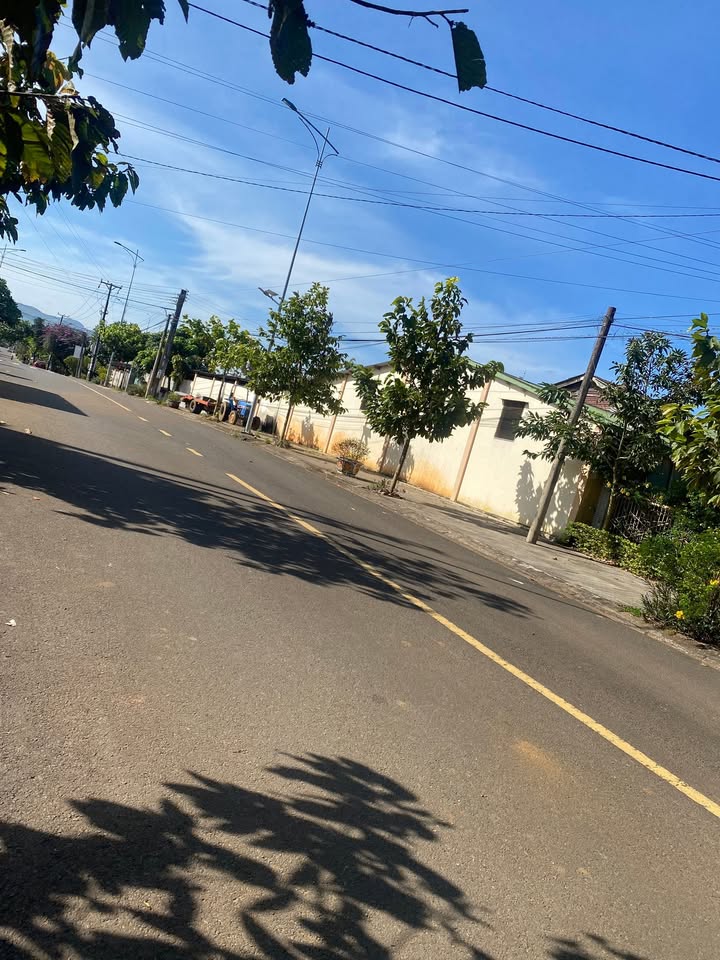 FrontHouse mặt tiền Bùi Thị Xuân, Bảo Lộc 655.52m² giá 11 tỷ - Tặng nhà cấp 4!