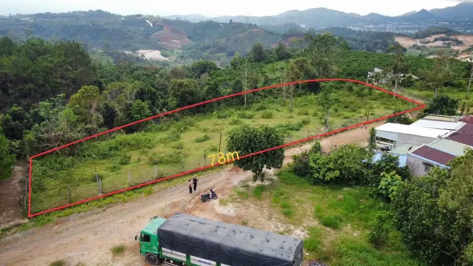 Đất Lộc Châu 12000m² giá 1.6 tỷ - Mặt tiền hơn 70m, cơ hội đầu tư hấp dẫn!