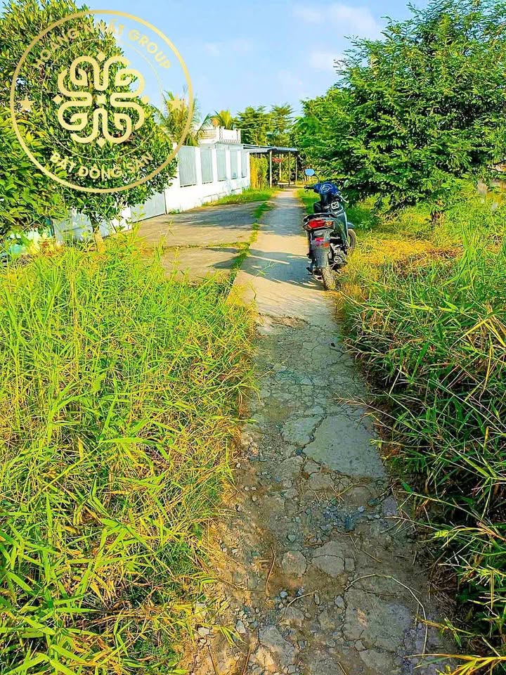 Đất nền Cống Đôi Cà Mau 295m² giá 800 triệu - Không gian sống xanh lý tưởng!