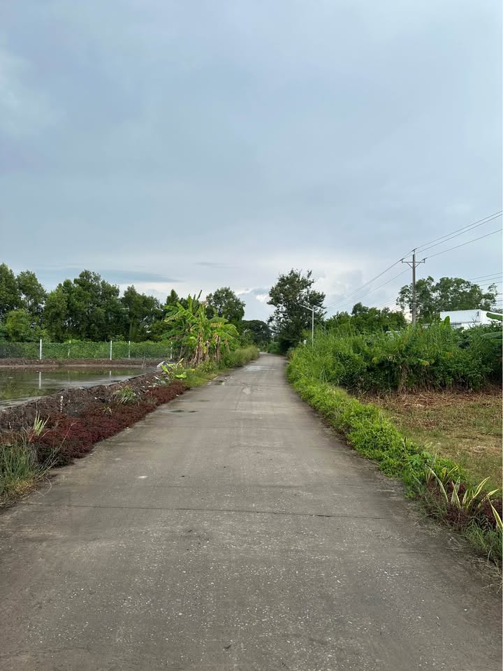 Đất nền Lý Văn Lâm Cà Mau 926.6m² giá 9xx triệu - Tiềm năng đầu tư lớn!