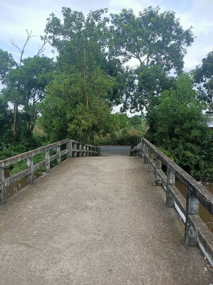 Đất nền Trần Hợi, Trần Văn Thời 20.580m² giá 9.23 tỷ - Cơ hội đầu tư sinh lời!