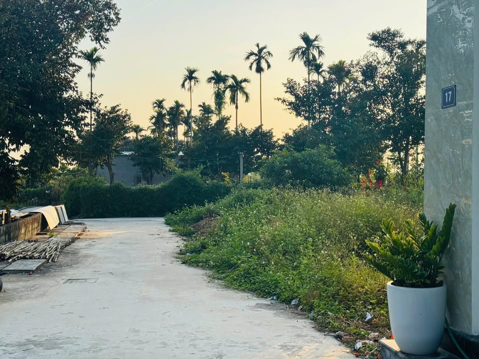 Đất 63m² Kiều Hạ, Quốc Tuấn chỉ 800 triệu - Cơ hội đầu tư tuyệt vời!