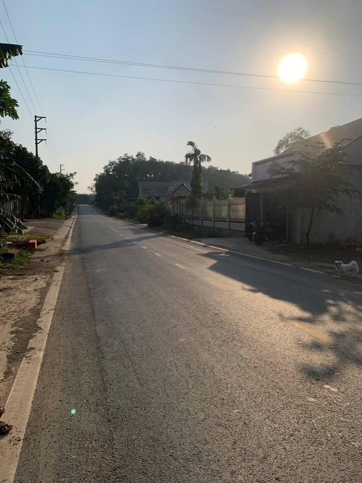 Đất nền Quốc lộ 38, thôn Lược, 350m² - Đầu tư sinh lời ngay!