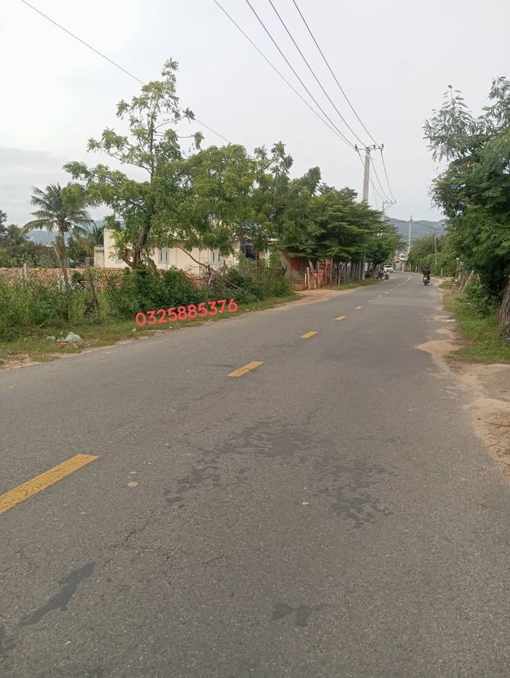 Đất nền mặt tiền nhựa Phương Hải 1400m² giá 1.4 tỷ - Cơ hội đầu tư hấp dẫn!