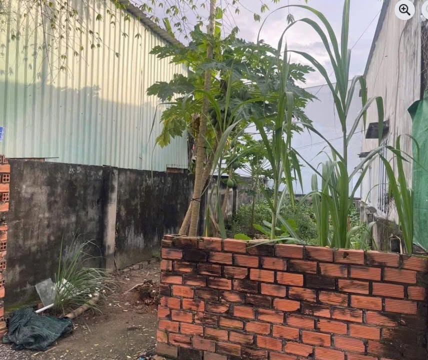 Đất nền 60m² đường Nguyễn Thị Sáng, Hóc Môn - Giá chỉ 2.85 tỷ, thương lượng!