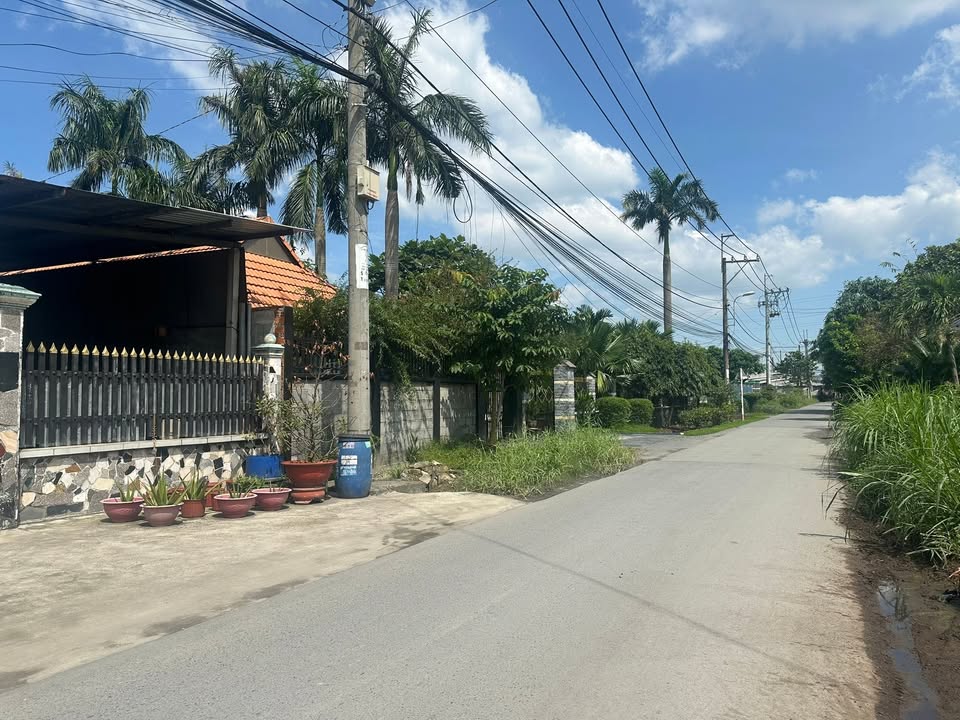 Đất mặt tiền Tân Thạnh Đông, Củ Chi 1400m² giá 10.5 tỷ - Cơ hội đầu tư tuyệt vời!