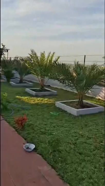 Nhà vườn mini 330m² tại An Lục Long, Châu Thành - Giá chỉ 1.05 tỷ, sẵn sàng ở ngay!