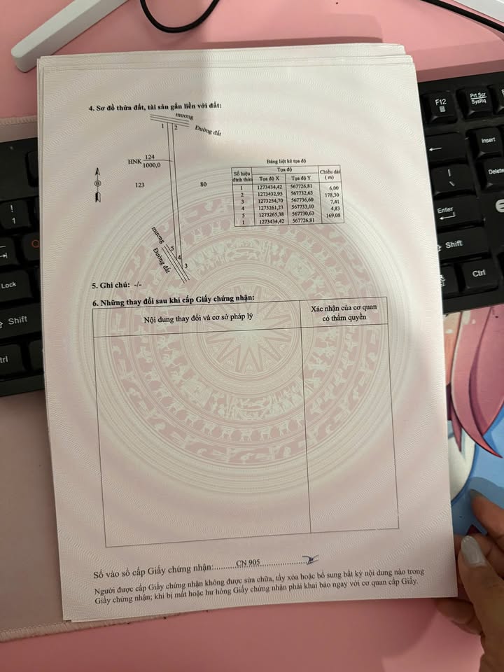 Đất vườn Tân Phú, Tân Châu, Tây Ninh 50.000m² giá 850 triệu - Cơ hội đầu tư tuyệt vời!