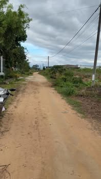 Đất thổ cư Đắk Ring 264m² giá 400 triệu - Đầu tư sinh lời ngay!