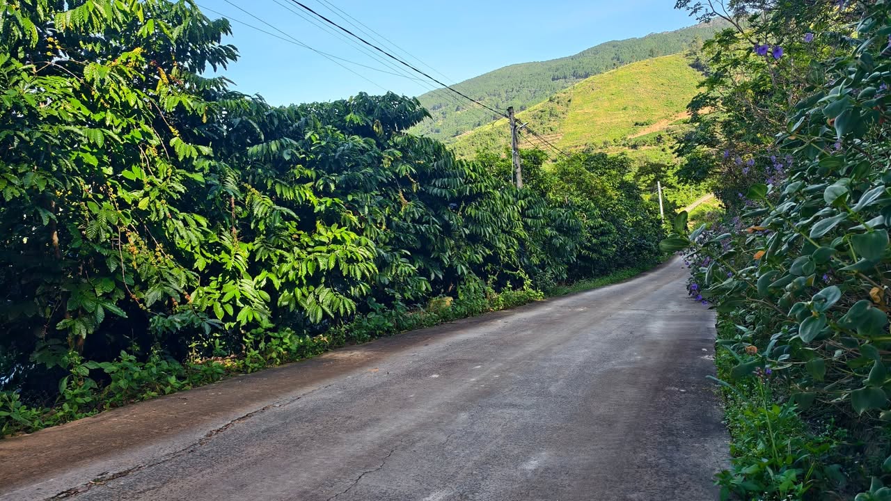 Đất nền Đông Thanh Lâm Hà 1395m² giá chỉ 1.4 tỷ - View đẹp gần rừng thông!