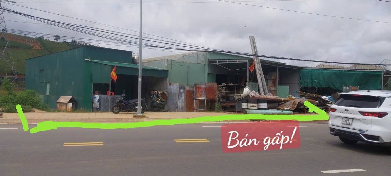 Đất nông nghiệp 1288m² tại Lạc Dương, Lâm Đồng - Giá thỏa thuận, cơ hội đầu tư sinh lời!