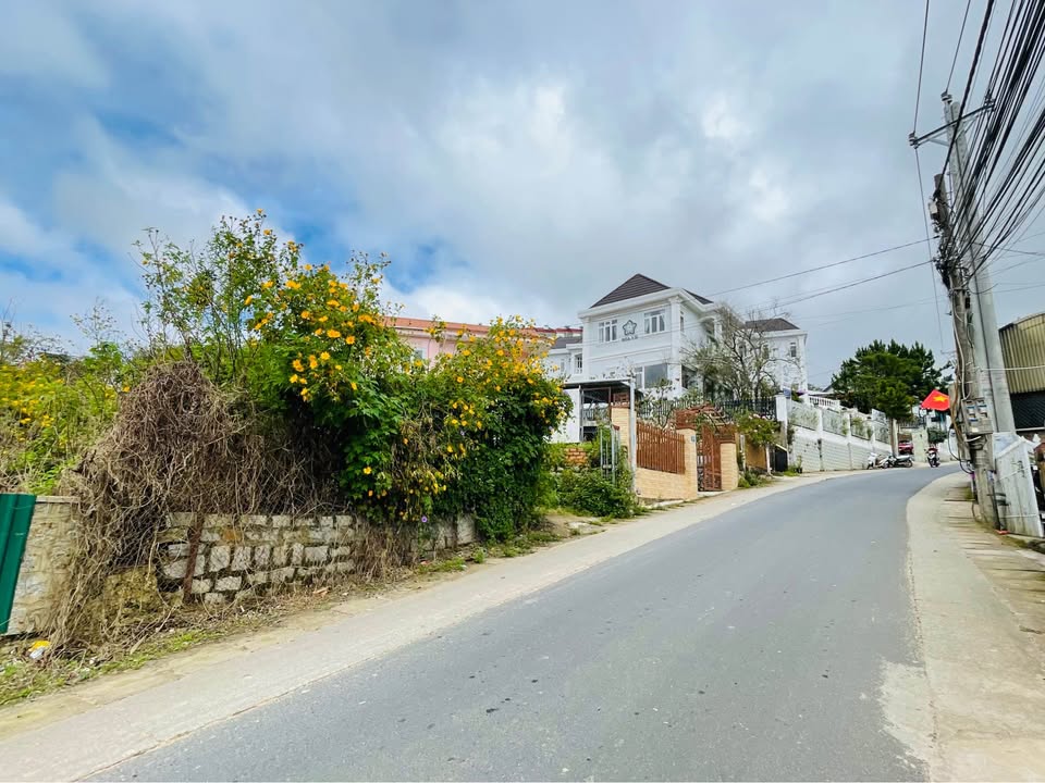 Bán đất nở hậu đẹp đường An Bình, Đà Lạt 617m² giá 33 tỷ - Đầu tư sinh lời hấp dẫn!